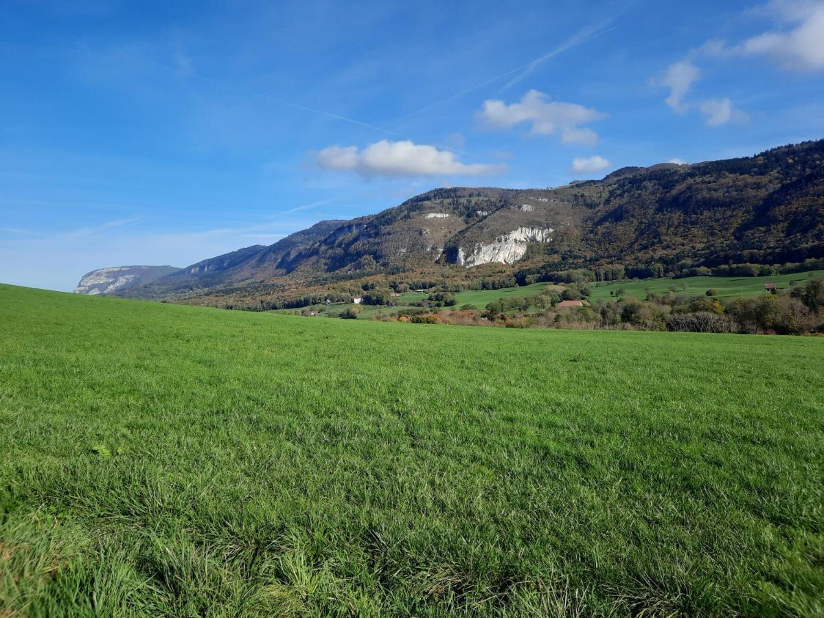 The Originals City, Hotel Rey Du Mont Sion, Saint-Julien-En-Genevois Sud المظهر الخارجي الصورة
