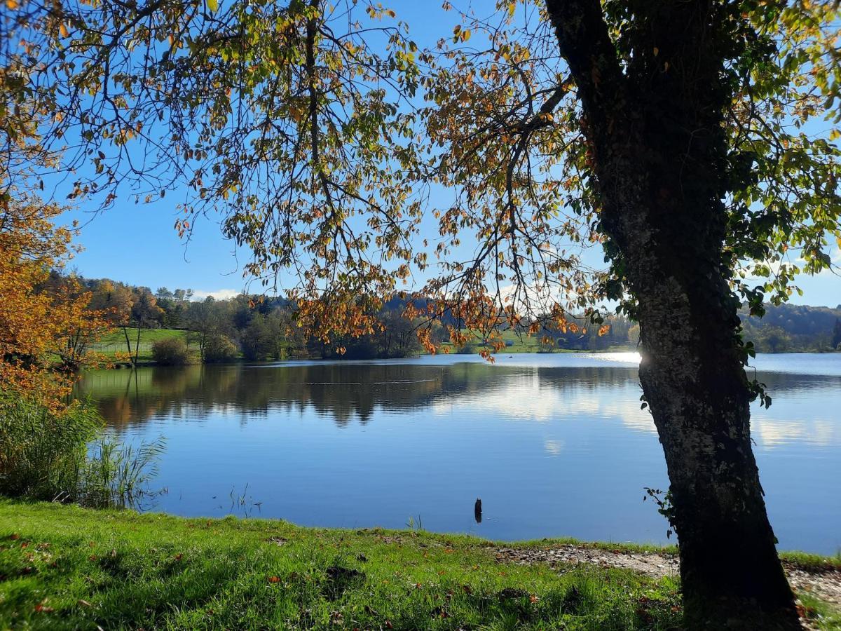 The Originals City, Hotel Rey Du Mont Sion, Saint-Julien-En-Genevois Sud المظهر الخارجي الصورة