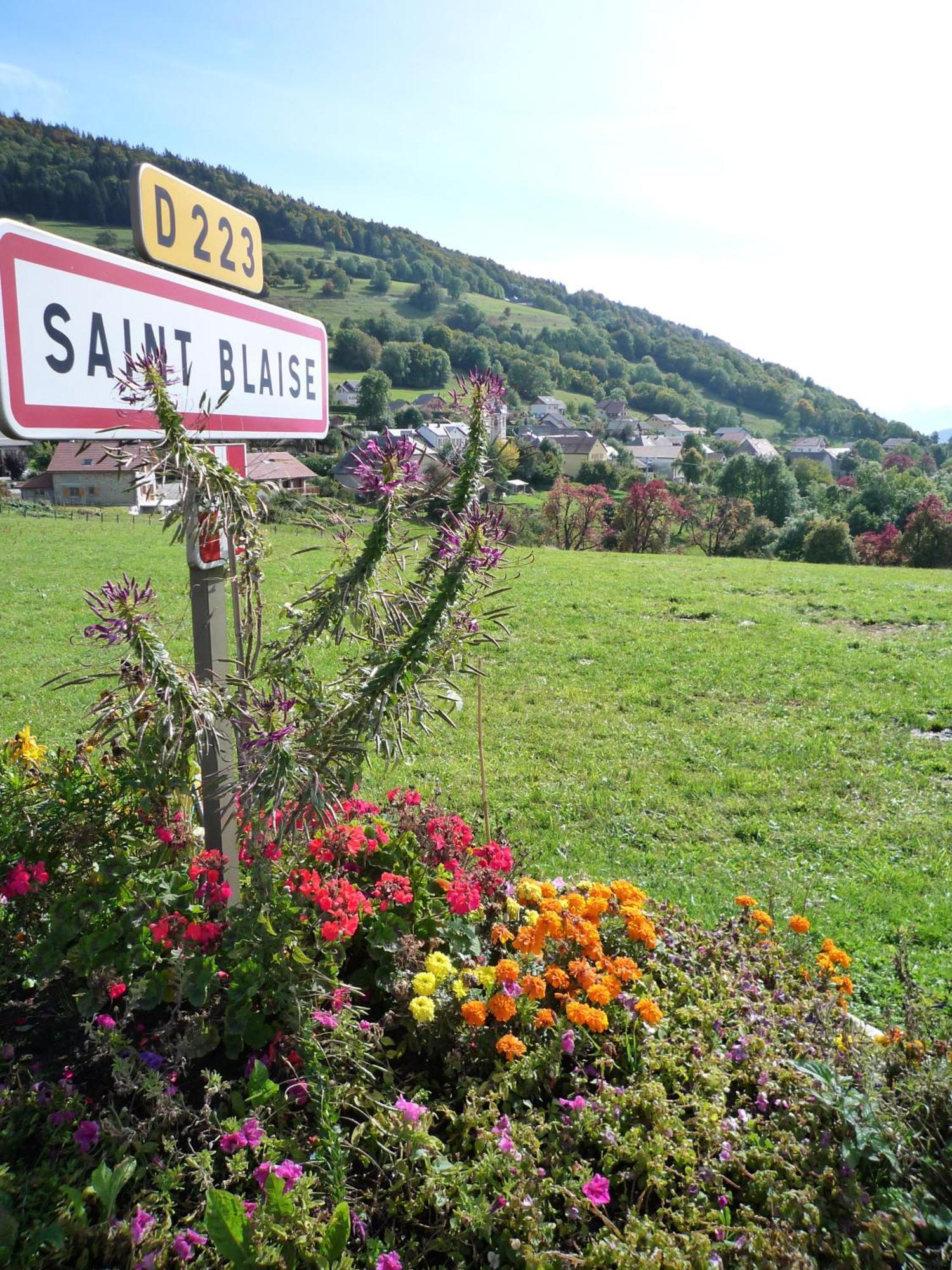 The Originals City, Hotel Rey Du Mont Sion, Saint-Julien-En-Genevois Sud المظهر الخارجي الصورة